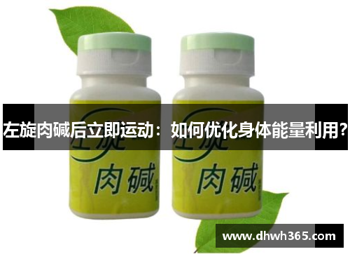 左旋肉碱后立即运动：如何优化身体能量利用？