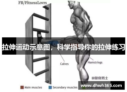拉伸运动示意图，科学指导你的拉伸练习