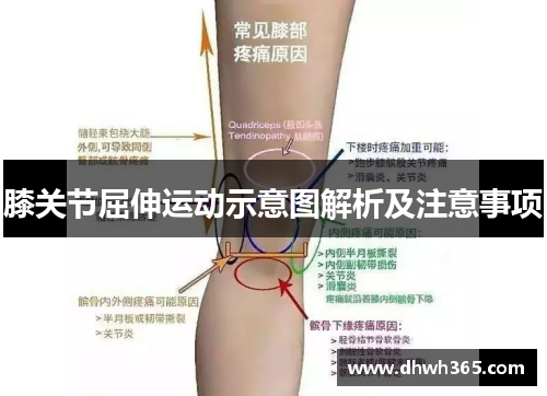 膝关节屈伸运动示意图解析及注意事项