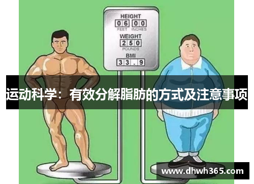 运动科学：有效分解脂肪的方式及注意事项